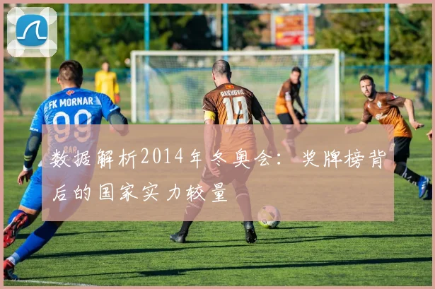 数据解析2014年冬奥会：奖牌榜背后的国家实力较量