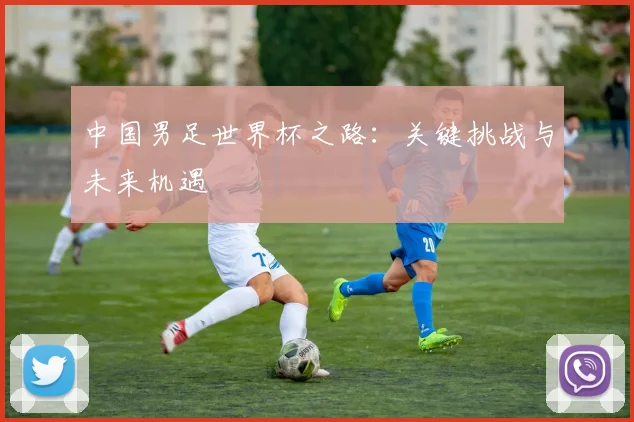中国男足世界杯之路：关键挑战与未来机遇