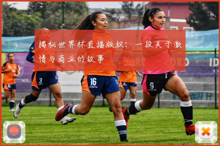 揭秘世界杯直播版权:一段关于激情与商业的故事