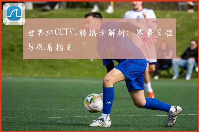 世界杯CCTV1转播全解析:赛事日程与观看指南