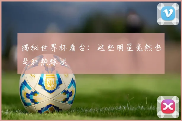 揭秘世界杯看台：这些明星竟然也是狂热球迷