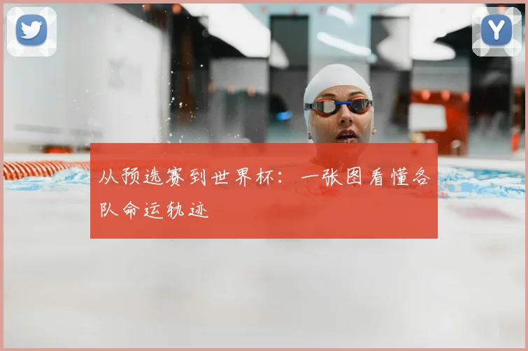 从预选赛到世界杯：一张图看懂各队命运轨迹